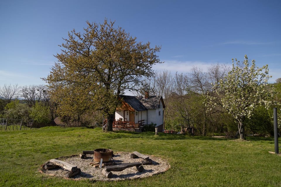 Spring, Natural landscape, Garden, Garden view, fireplace