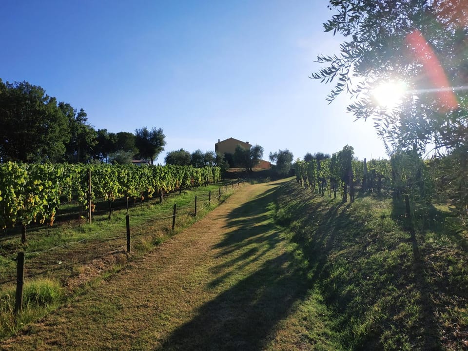 B&B La Casetta Bed and Breakfast in Emilia-Romagna