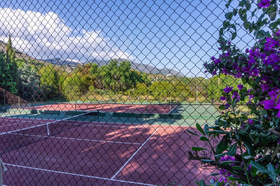 Tennis court