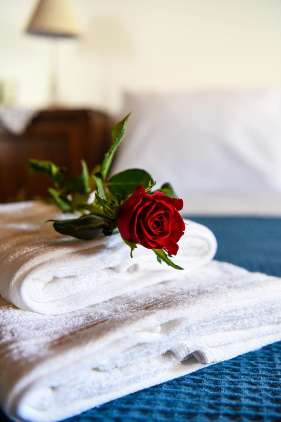 Blue Nest - Skiathos Nests Apartment in Skiathos