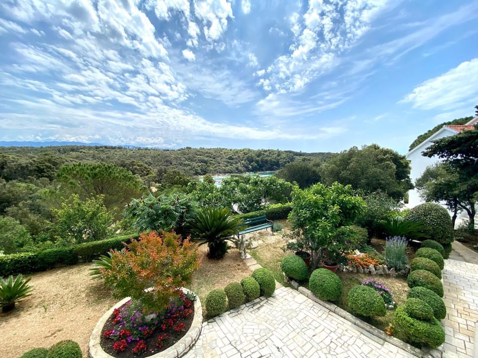 Garden view