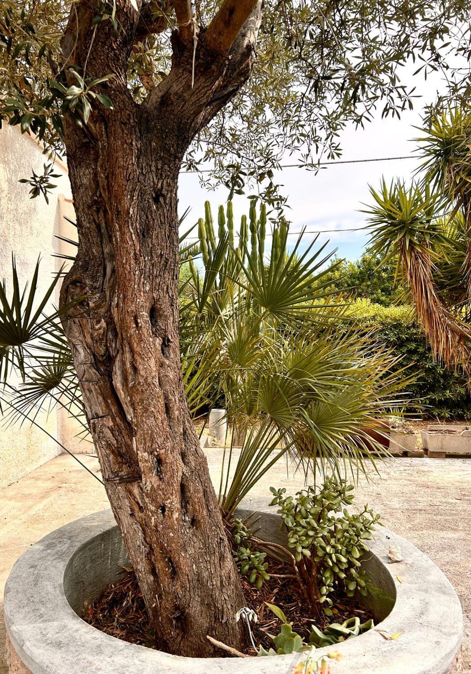 Garden, Garden view