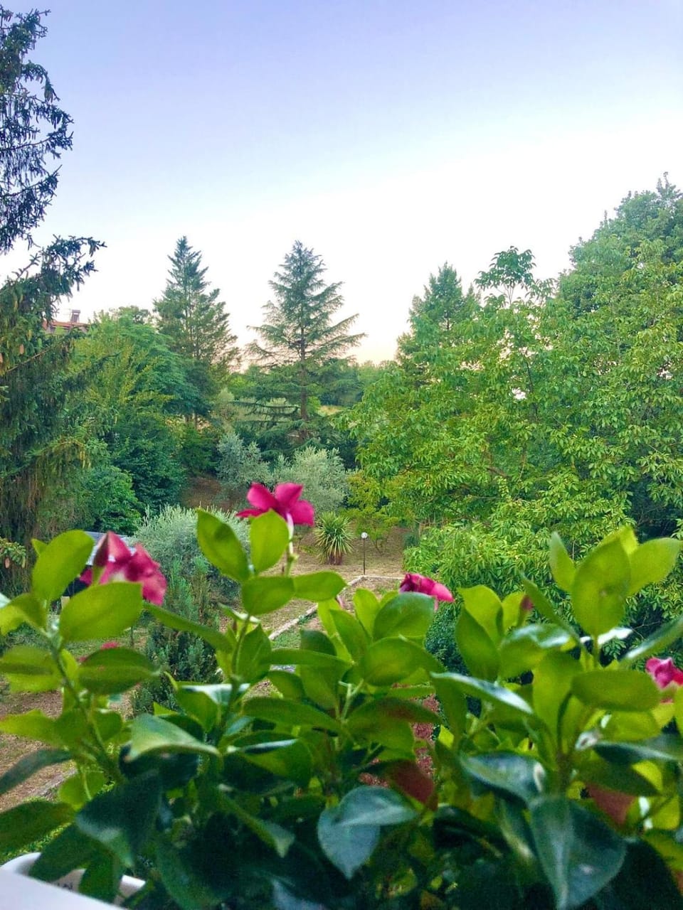 Il Bosco Guest House Subiaco House in Abruzzo