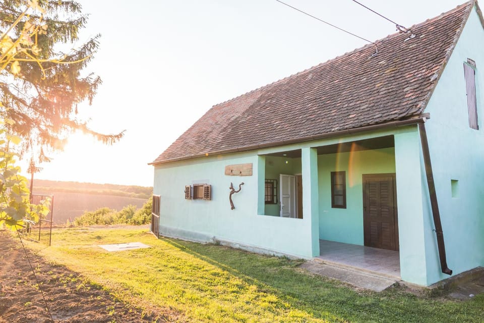 Village Wine House House in Brod-Posavina County, Croatia