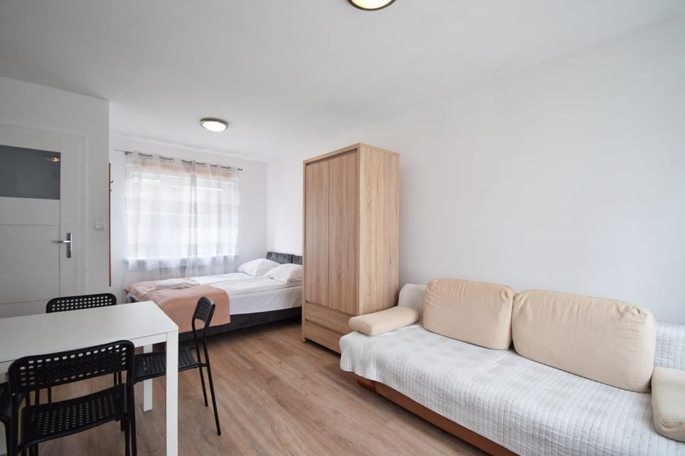 Bed, TV and multimedia, Kitchen or kitchenette, Living room, Photo of the whole room, Seating area, Dining area, Bedroom, wardrobe