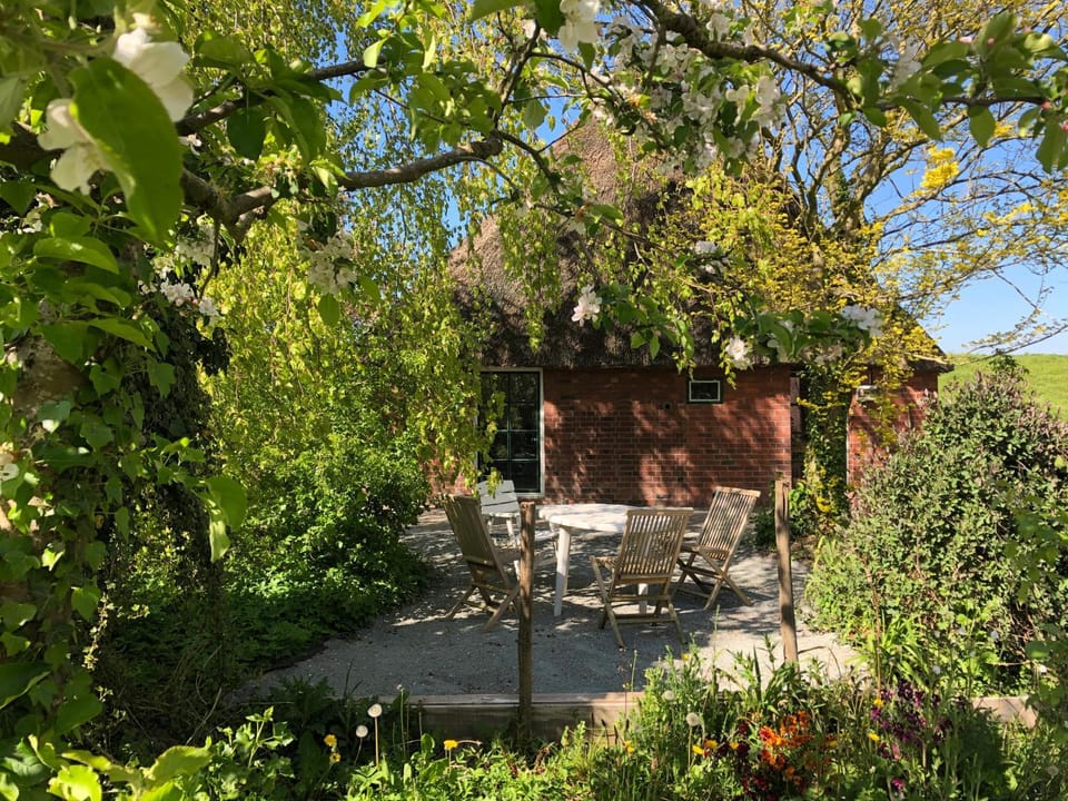 Property building, Garden