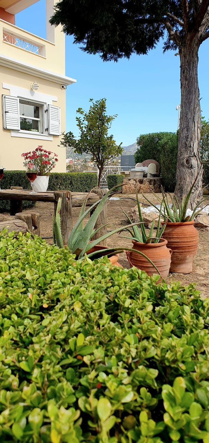 Spring, Day, Natural landscape, Garden, Garden view