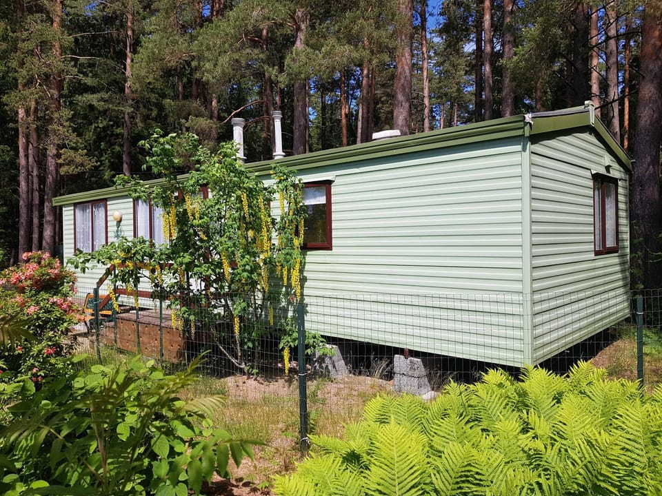 Beautiful holiday home near the pine forest House in Latvia