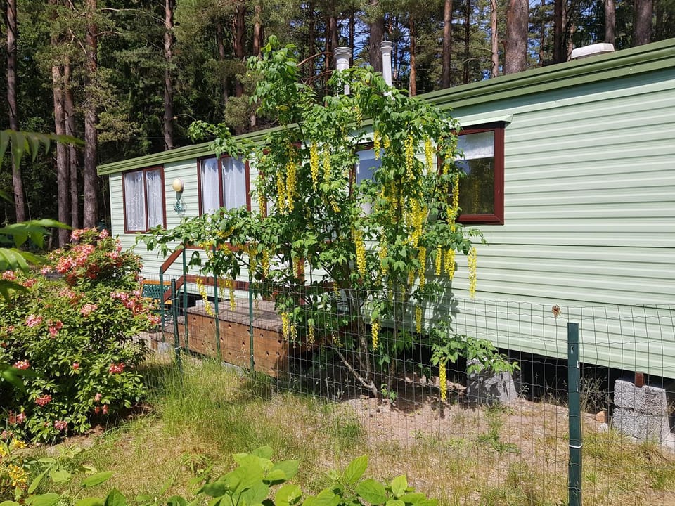 Beautiful holiday home near the pine forest House in Latvia