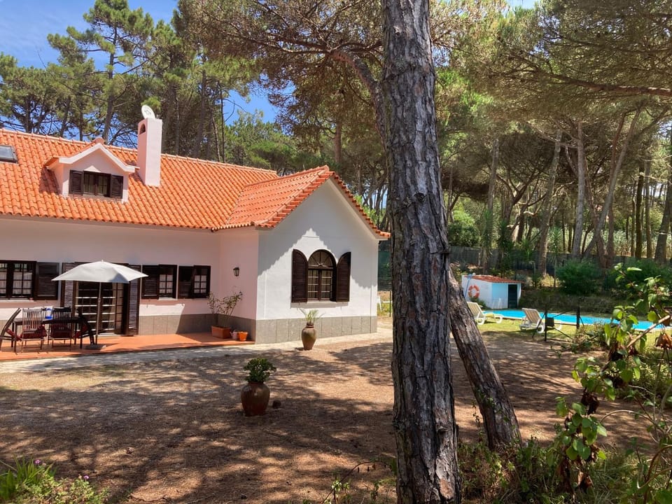 Property building, Patio, Garden view