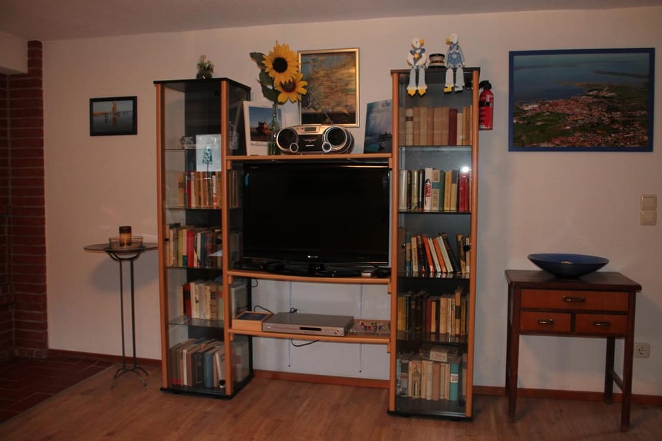 TV and multimedia