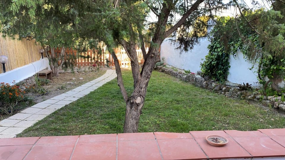 Spring, Day, Garden, Garden view