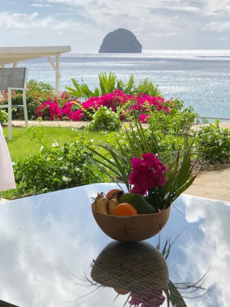 Coco View Apartment in Le Diamant
