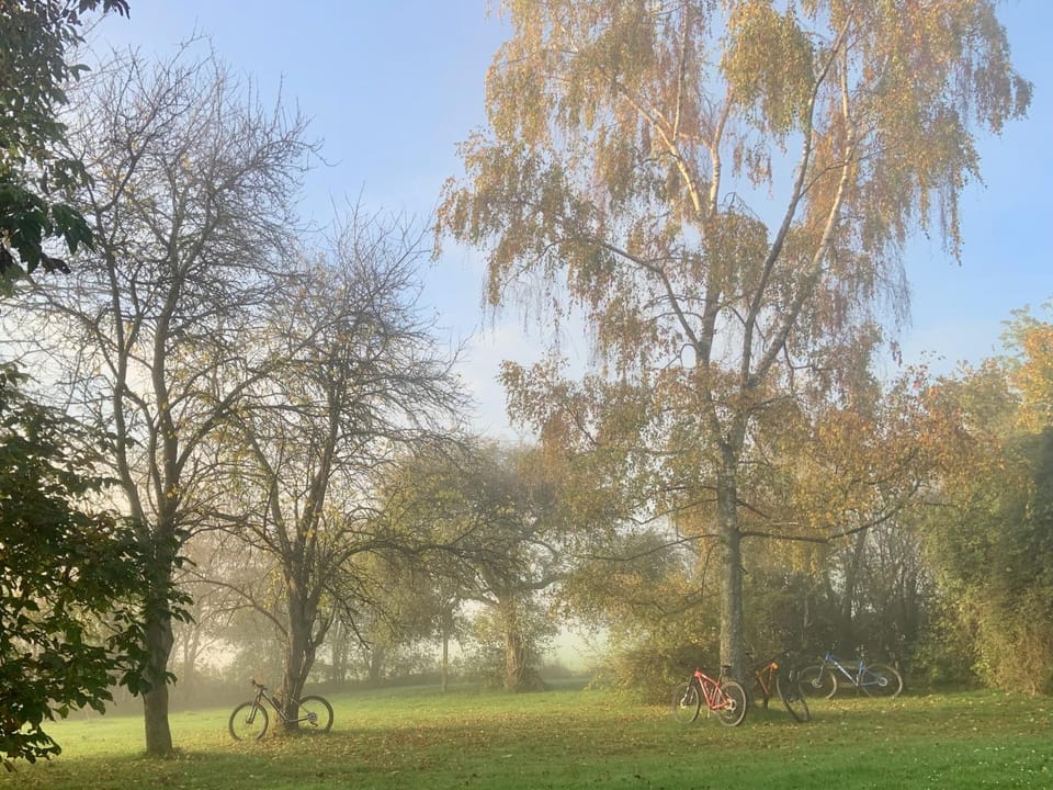 Natural landscape, Garden, Cycling, Garden view
