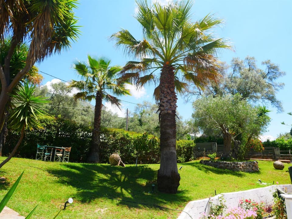 Garden, Garden