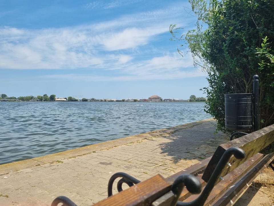 Lake view
