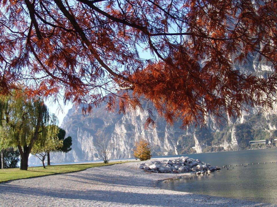 Natural landscape