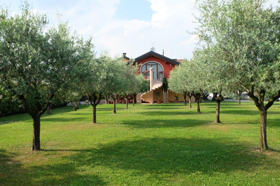 Natural landscape, Garden, Garden view