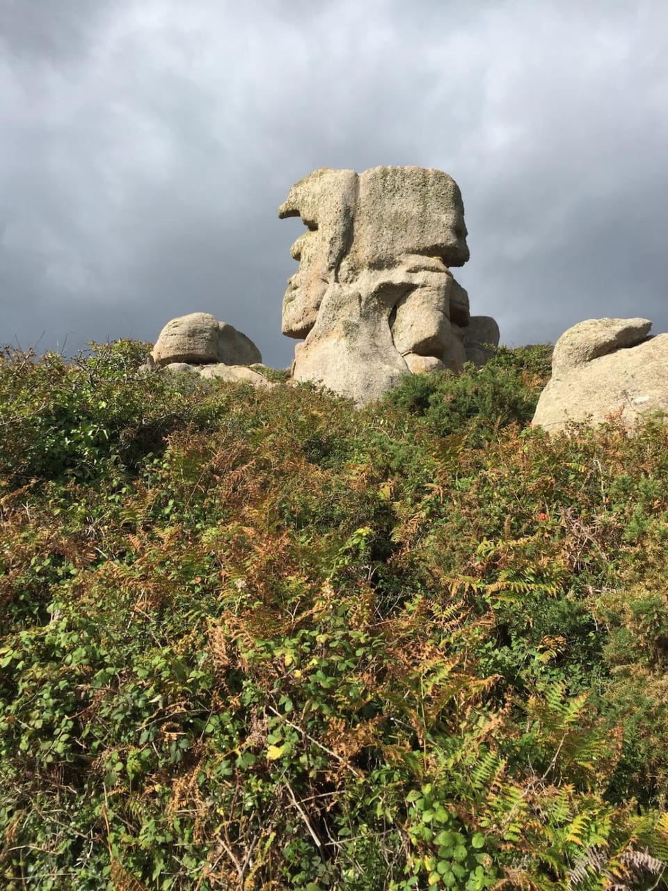 Le Toucan House in Brittany