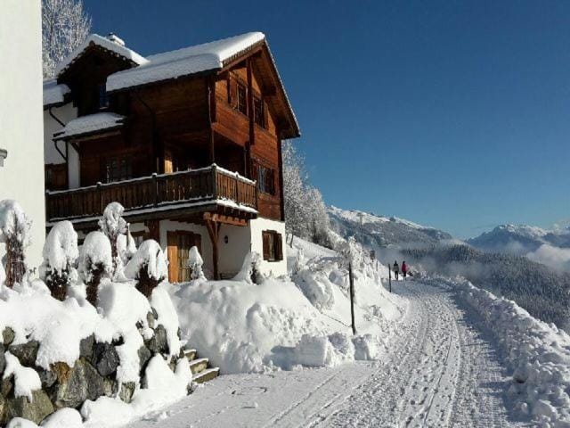 Er Liung - Ferienwohnung für max. 3 Personen Apartment in Canton of Grisons