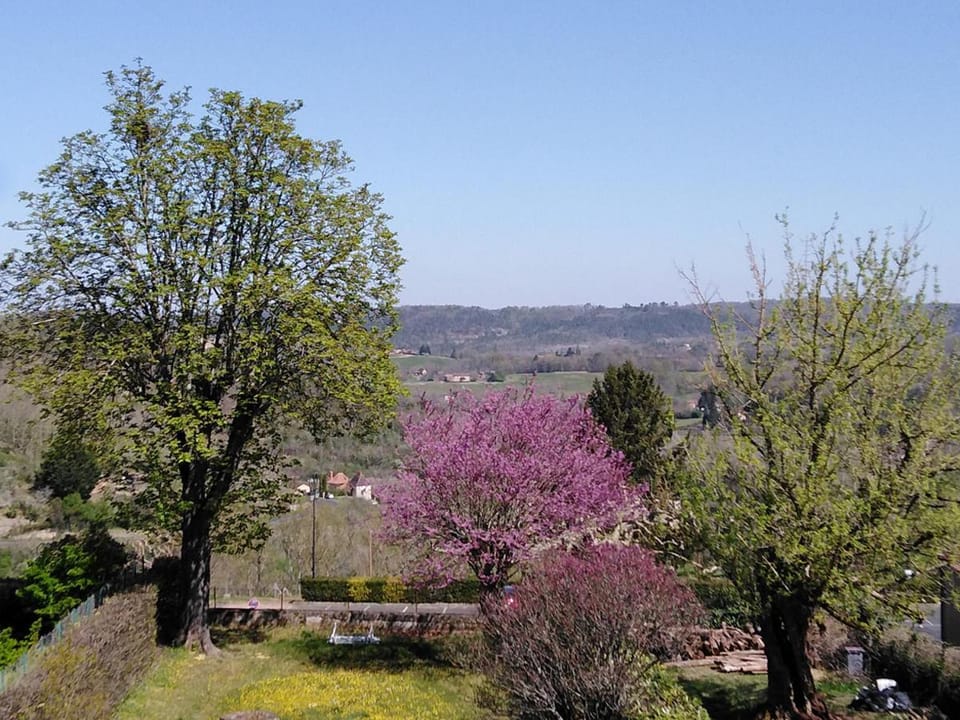 View (from property/room)