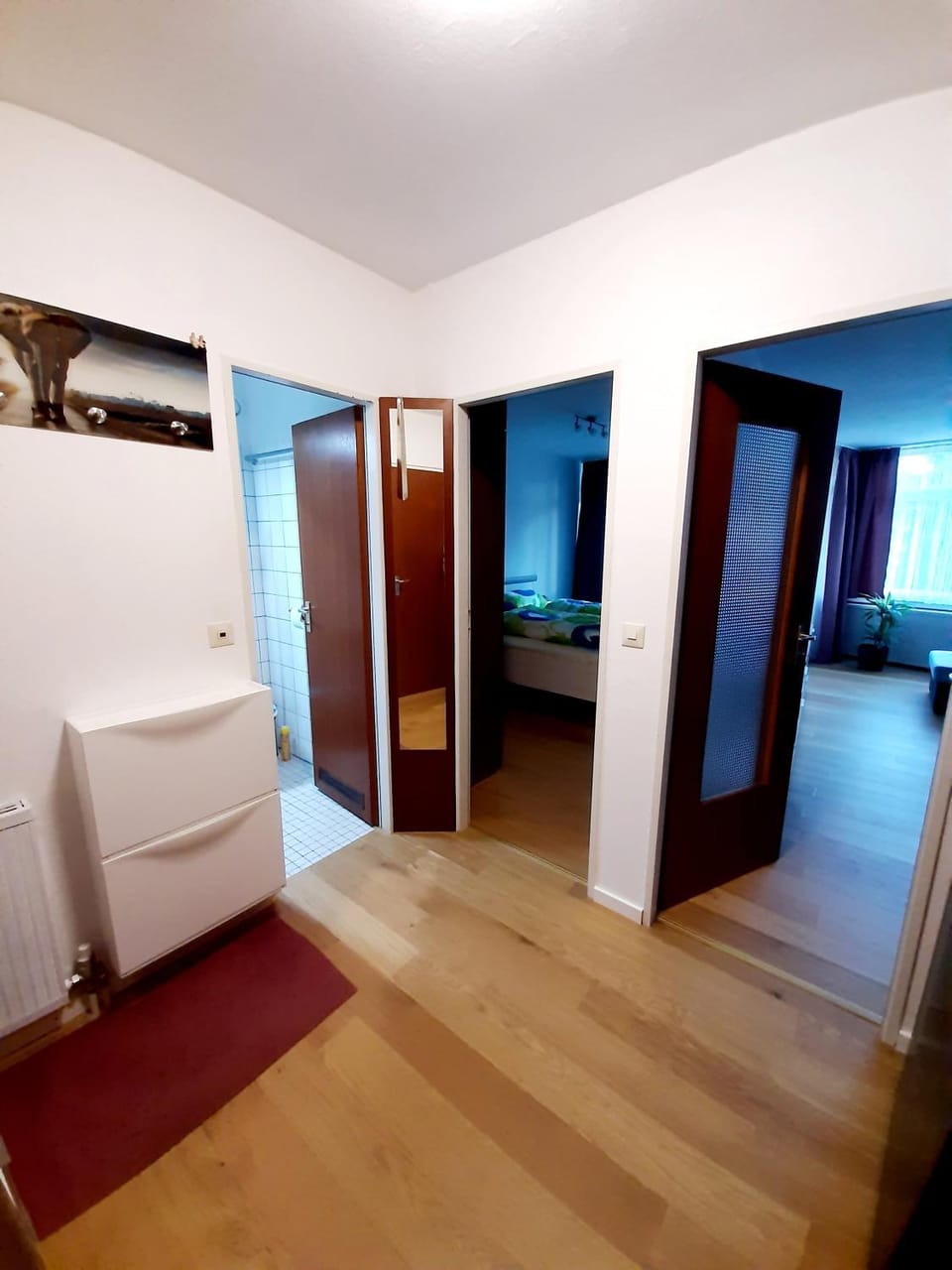 Photo of the whole room