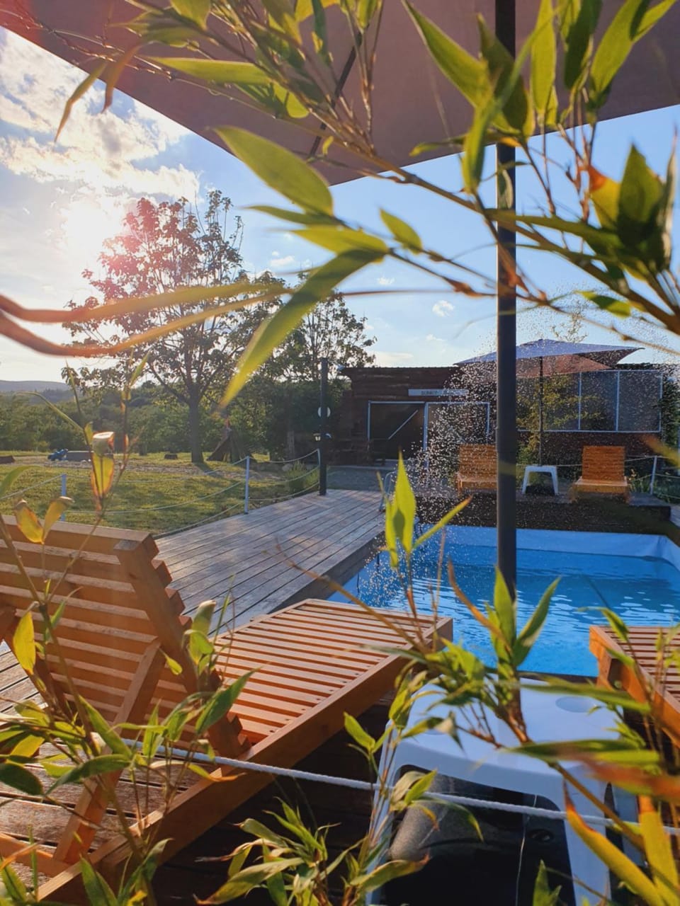 Day, Garden, Pool view, Swimming pool, sunbed