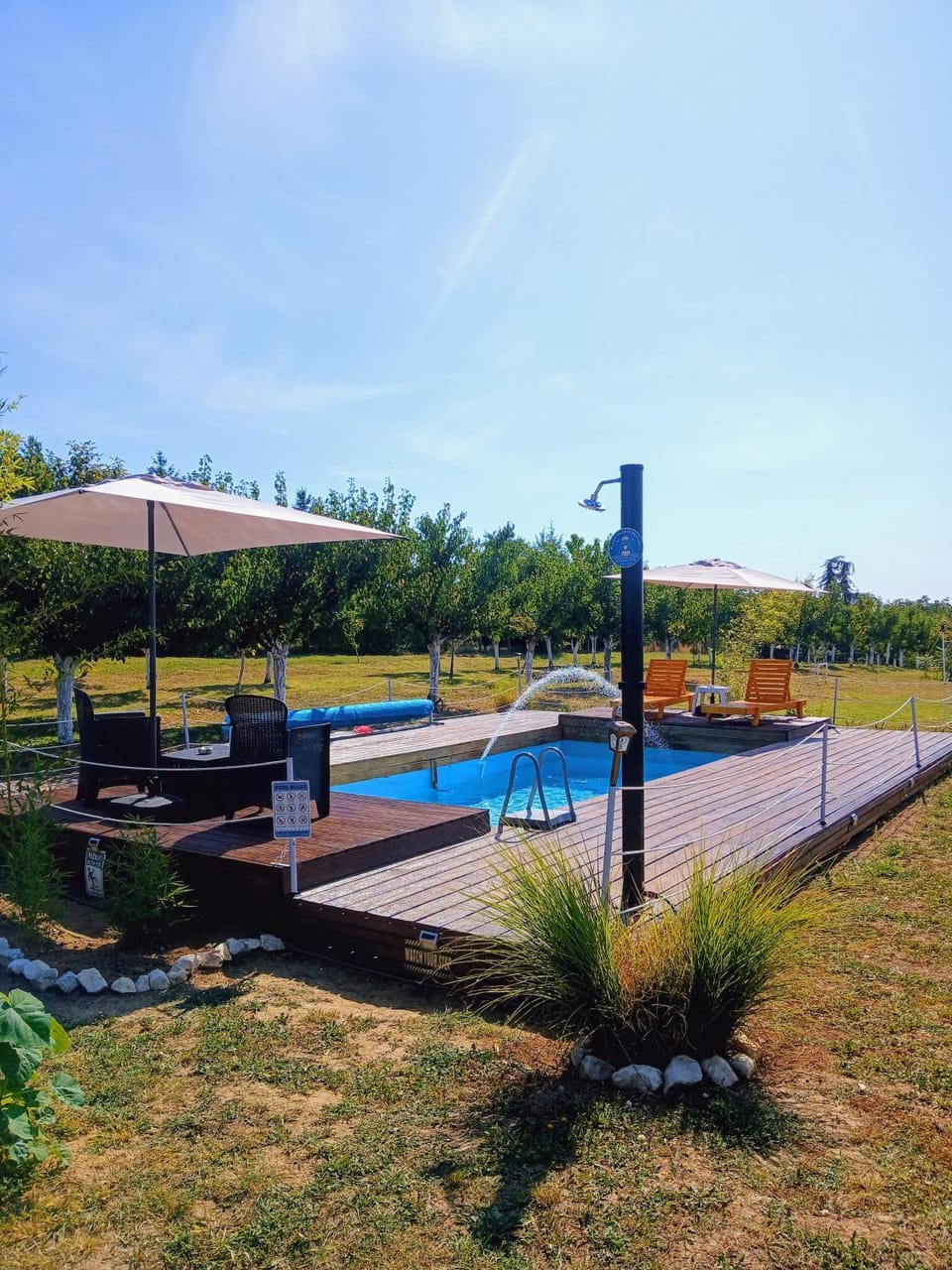 Garden, Garden view, Pool view, Pool view, Swimming pool, sunbed