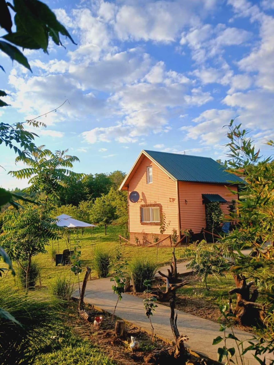 Property building, Spring, Day, Natural landscape, Garden, View (from property/room), On site, Garden view