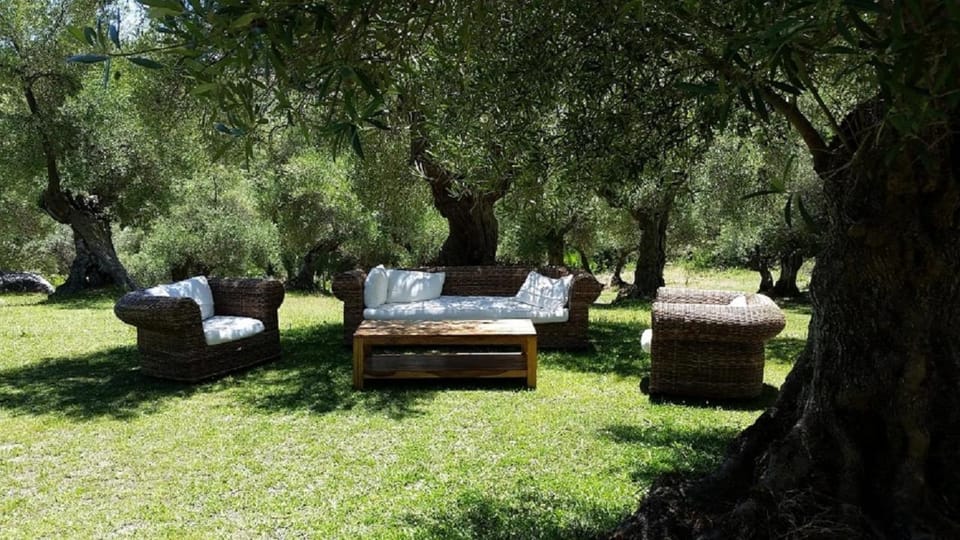 Activities, Garden, Living room, Photo of the whole room, Decorative detail, Decorative detail, Seating area