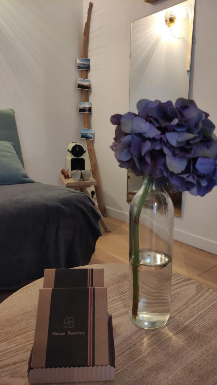 Dalhia Studio centre ville Biarritz Apartment in Biarritz