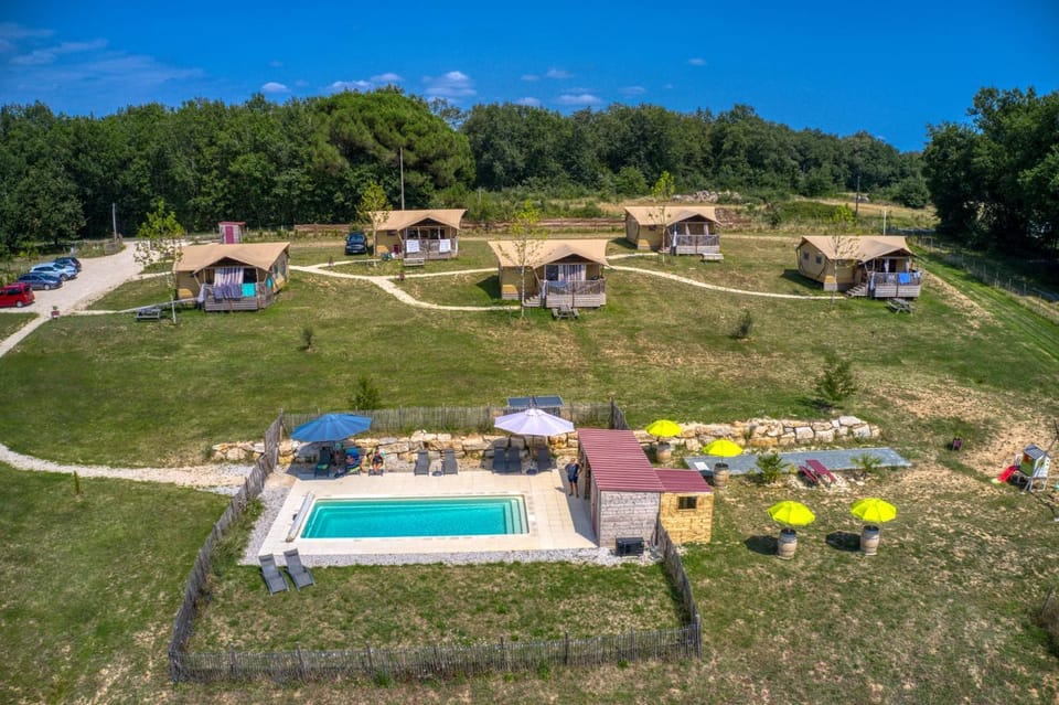 Garden, Garden, Swimming pool, sunbed