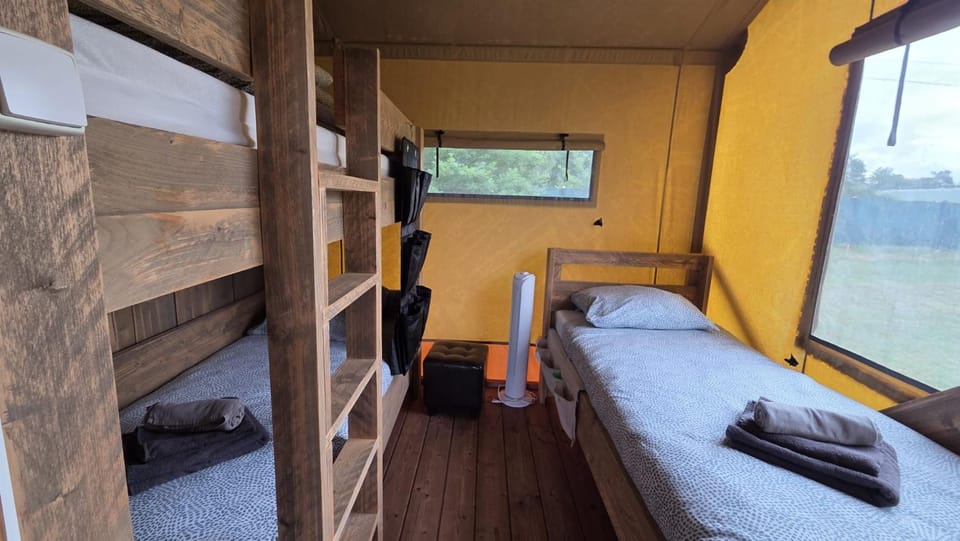 Bed, Photo of the whole room, Bedroom, bunk bed