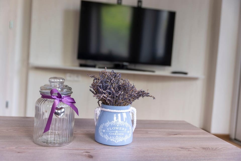 Apartmán u Větrníku Apartment in South Moravian Region