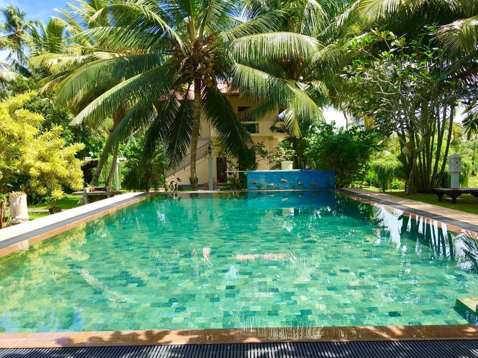 Swimming pool, Swimming pool