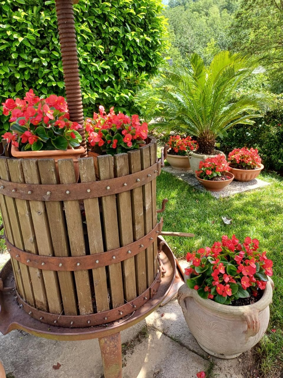 Agriturismo San GIovanni Ad Insulam Bed and Breakfast in Abruzzo