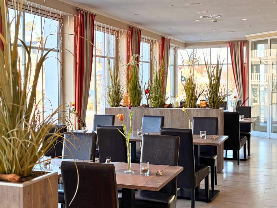 Restaurant/places to eat, Breakfast, Dinner