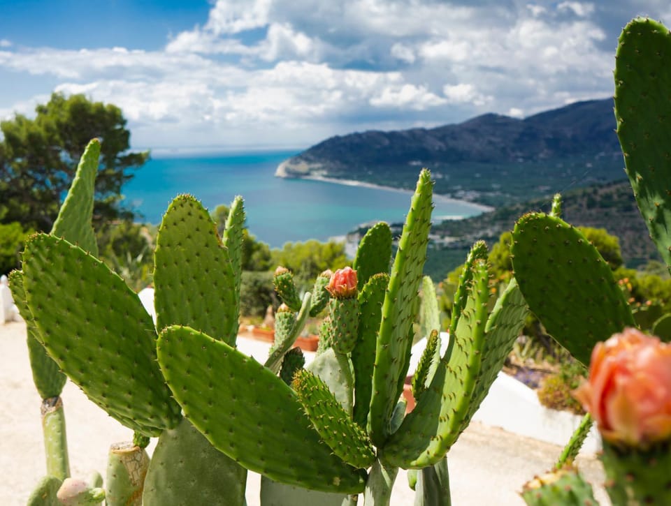 Casa Molo 13 House in Province of Foggia