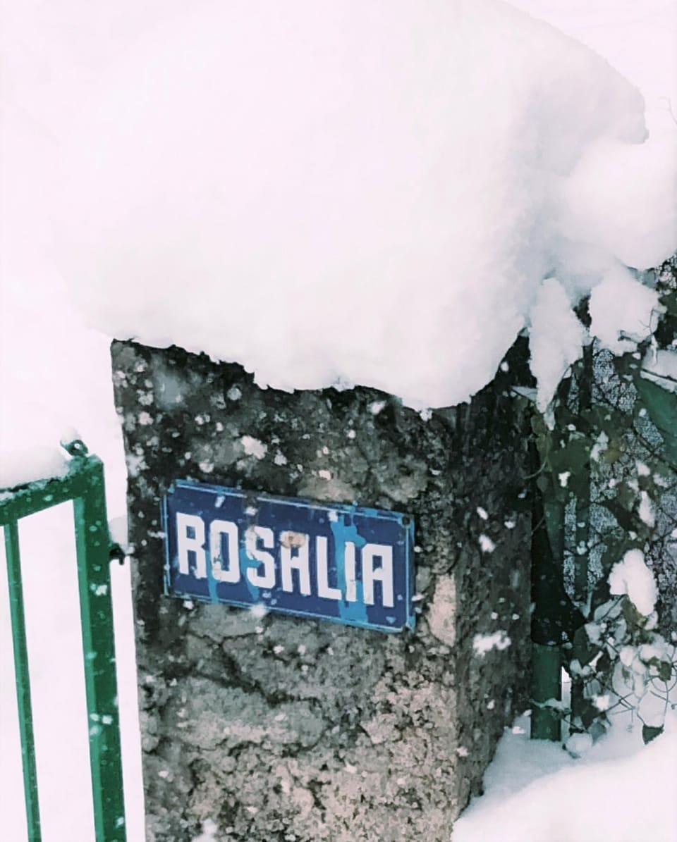 Natural landscape, Winter, Logo/Certificate/Sign