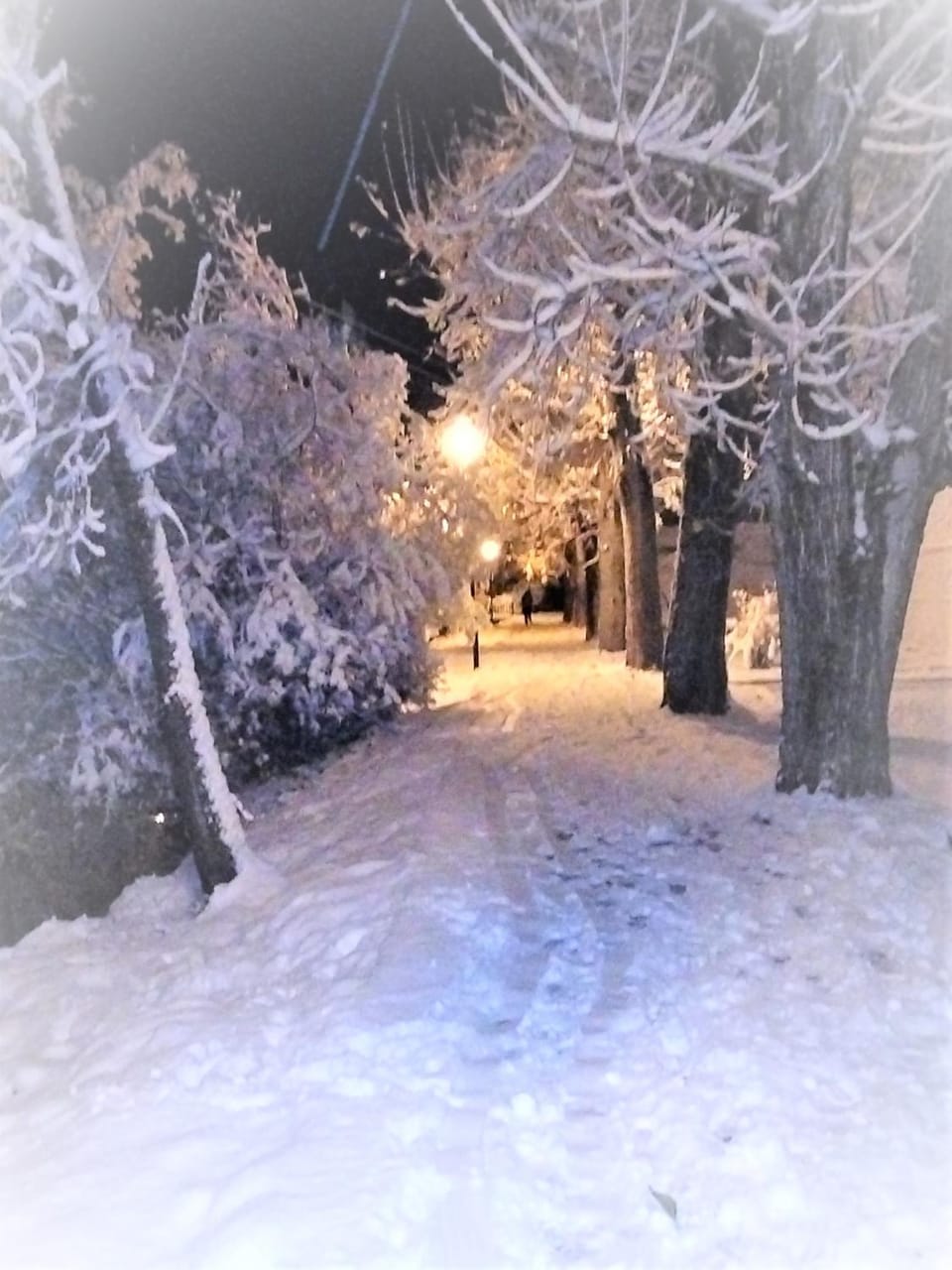 Natural landscape, Winter
