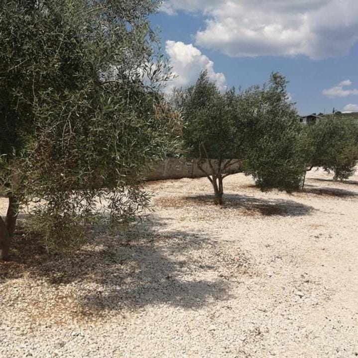 Day, Natural landscape