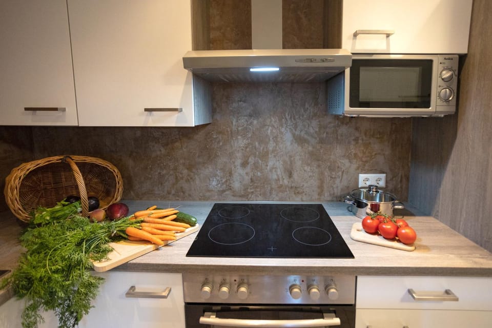 Kitchen or kitchenette, stove, stove