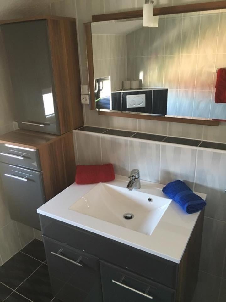 Ferienwohnungen Barbic Apartment in Istria County