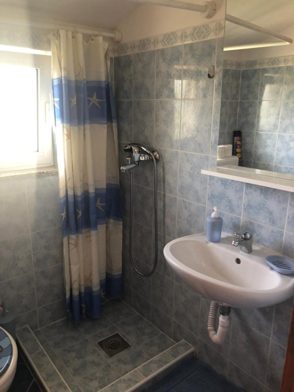 Shower, Toilet