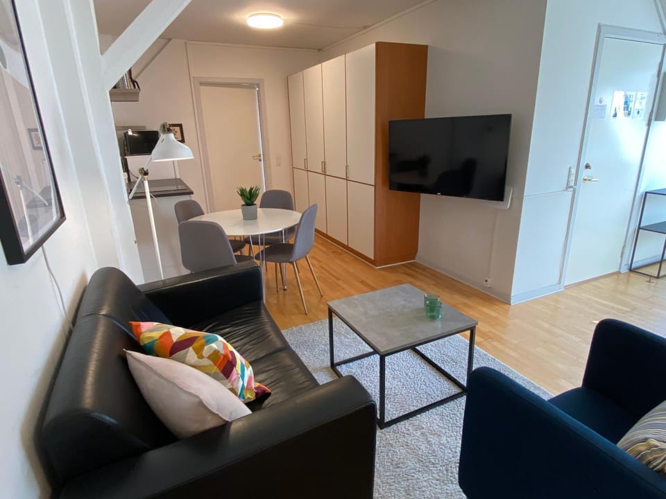 Gothersgade Apartment in Copenhagen