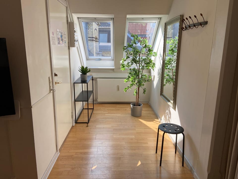 Gothersgade Apartment in Copenhagen