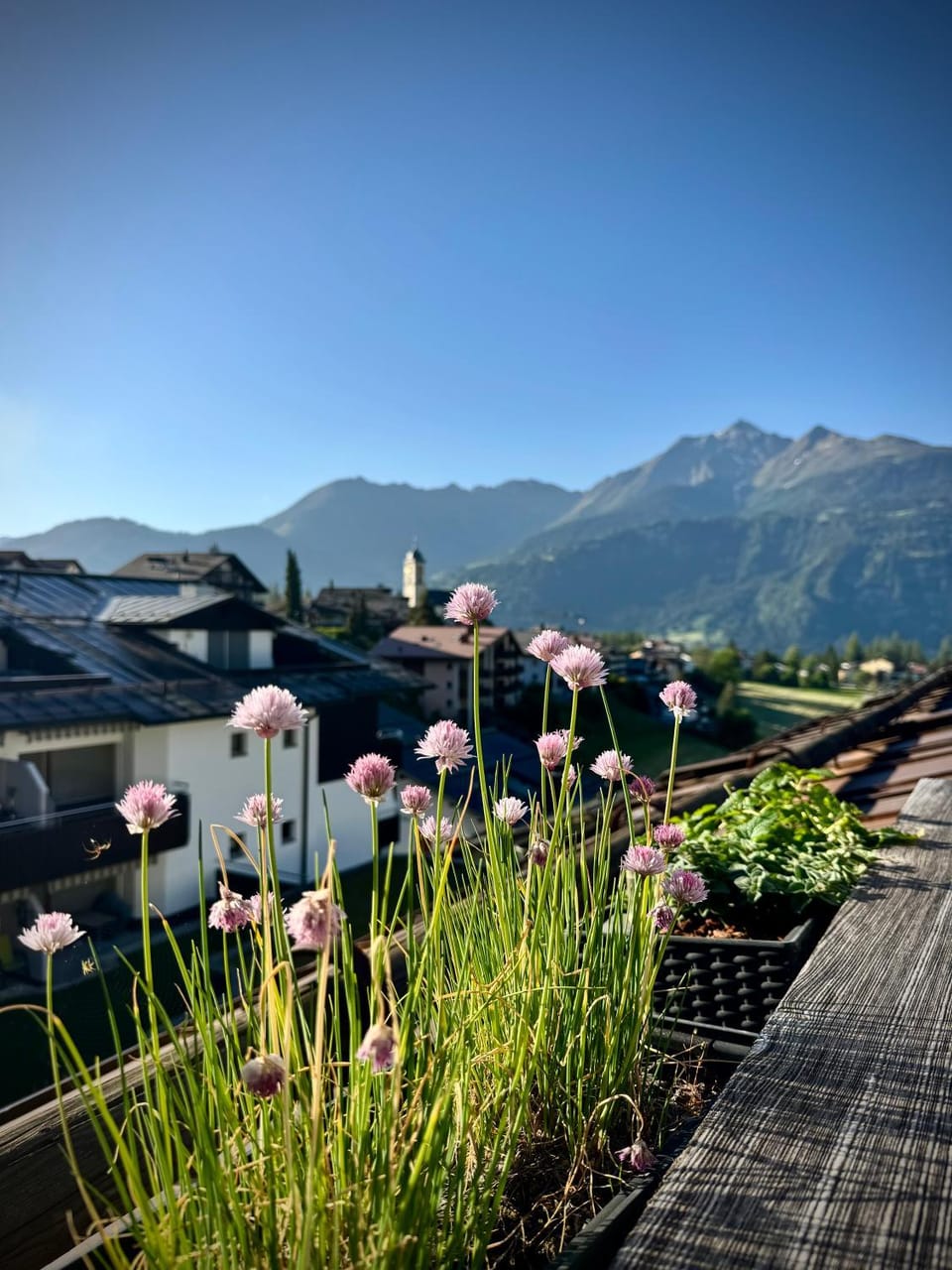 View (from property/room), Balcony/Terrace, Mountain view