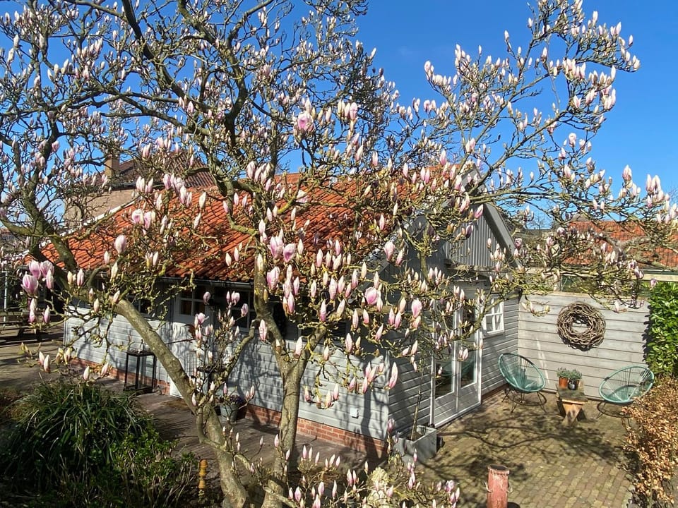 Bed and Breakfast Het Emmapark Medemblik Apartment in Flevoland, Netherlands