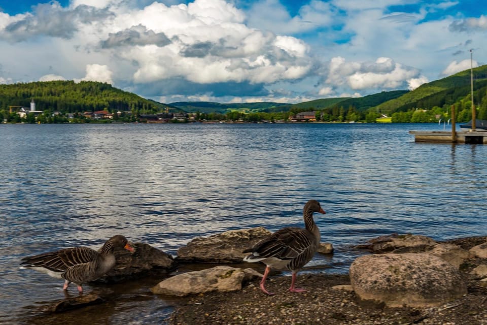 Drei Tannen - Wohnung 11 - Apartmenthaus, Titisee, Feldberg Apartment in Titisee-Neustadt