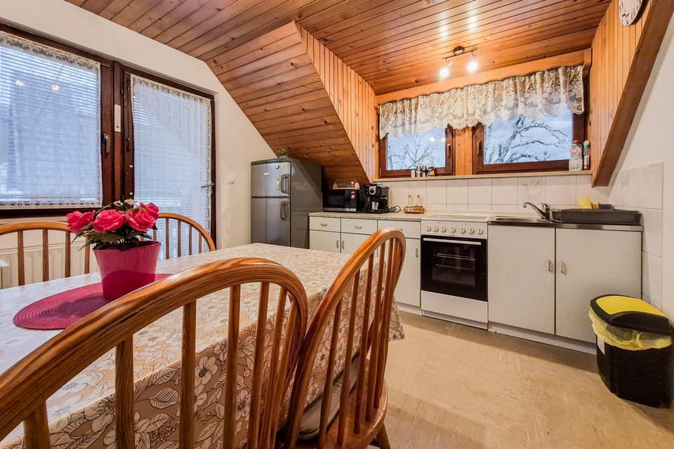 Kitchen or kitchenette, Dining area, oven, stove
